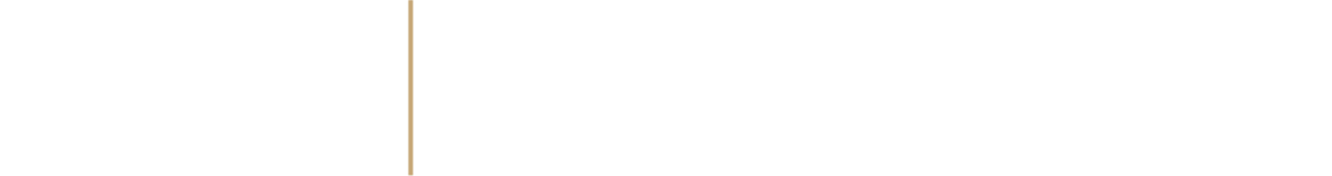 Lainey_Horiz-LogoLockup.png