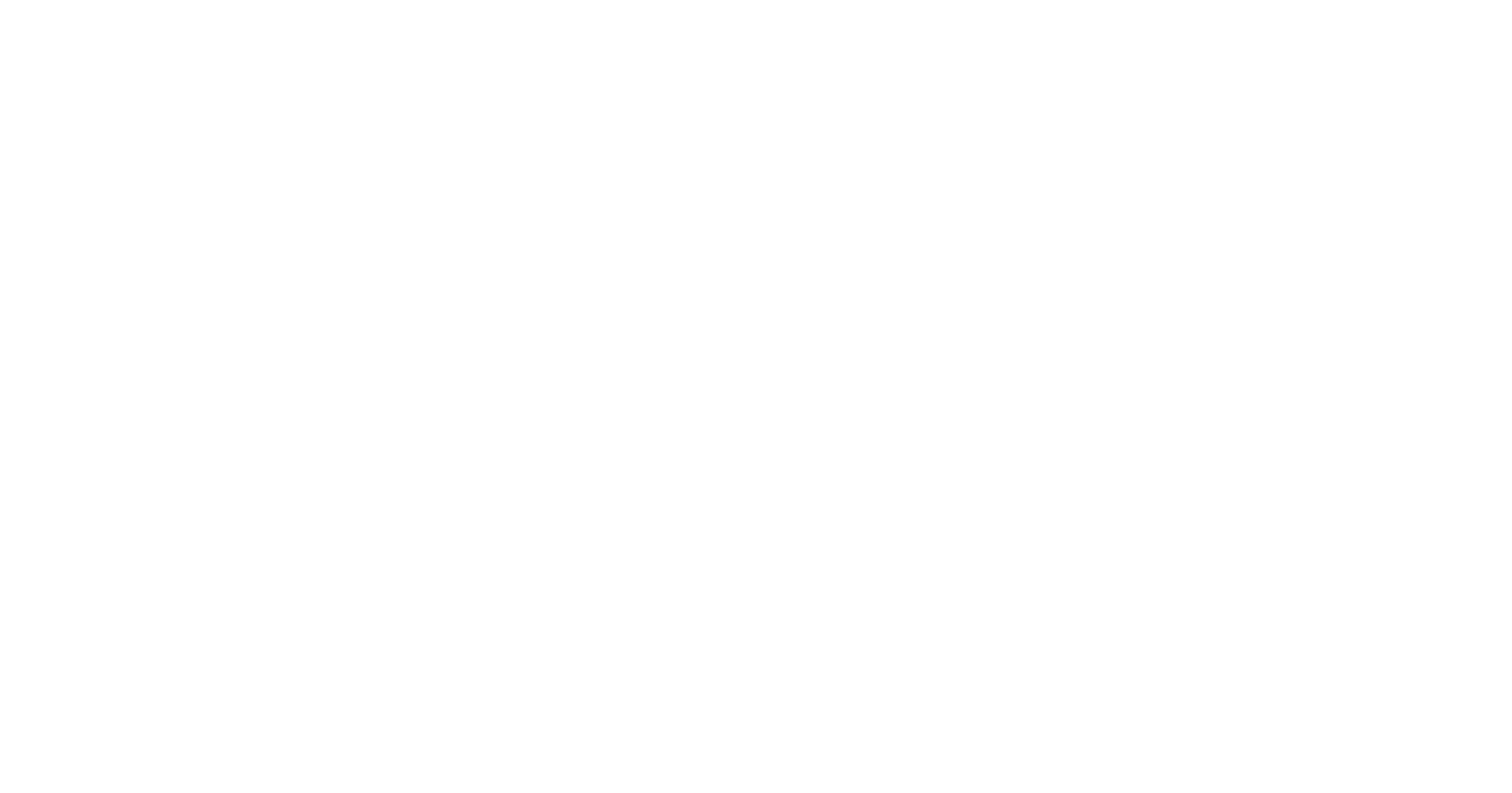 ZYN-GoForIt-Logo_Final_horizontal.png
